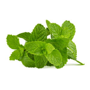 mint, mint leaf, green-5000528.jpg
